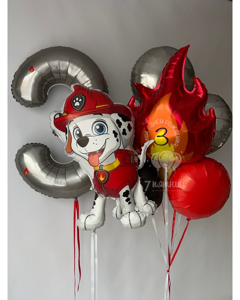 Воздушные шары с Маршалом