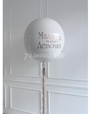 Большой шар на гендер пати Братик или сестричка 