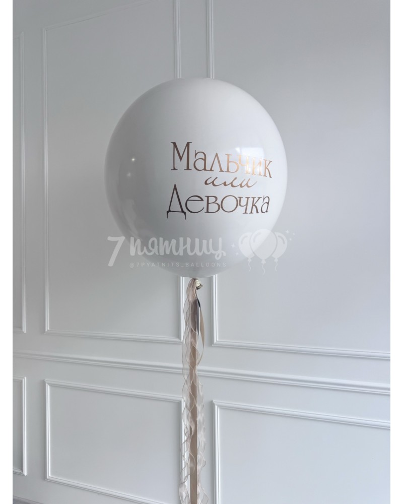 Большой шар на гендер пати Братик или сестричка
