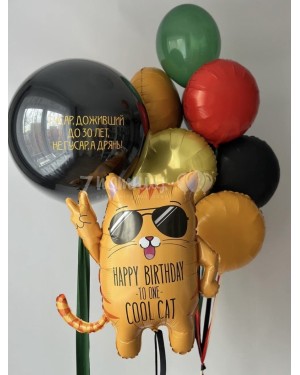 Набор шаров Гусарский веселый