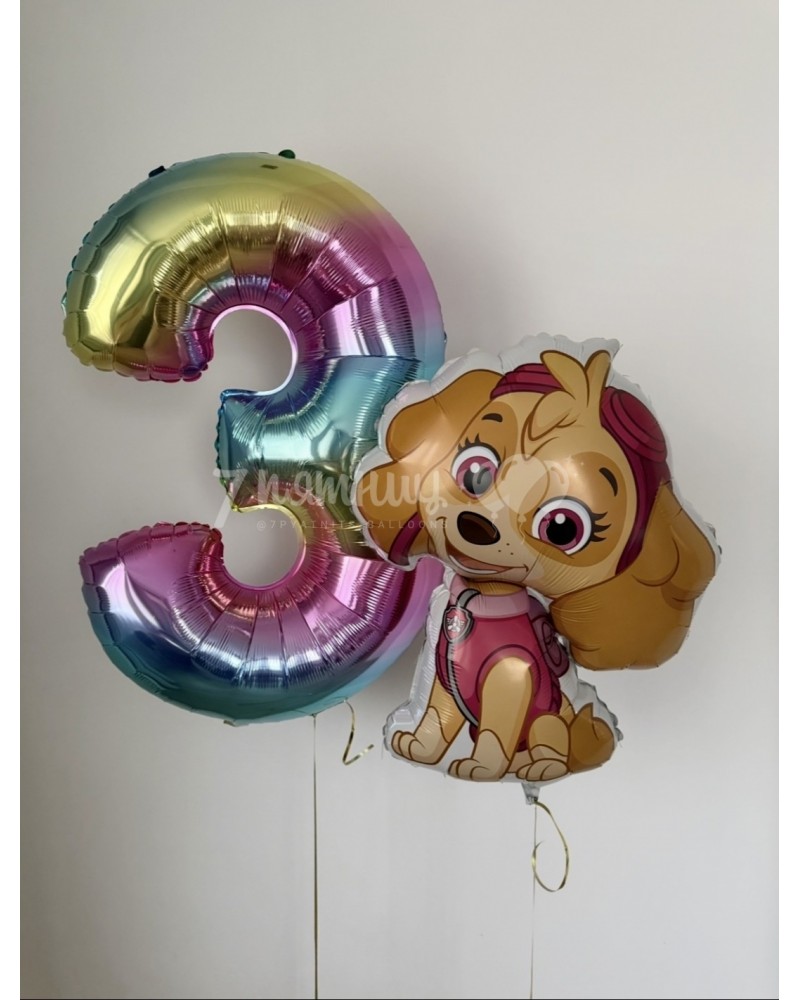 Цифра 3 радужная и Скай