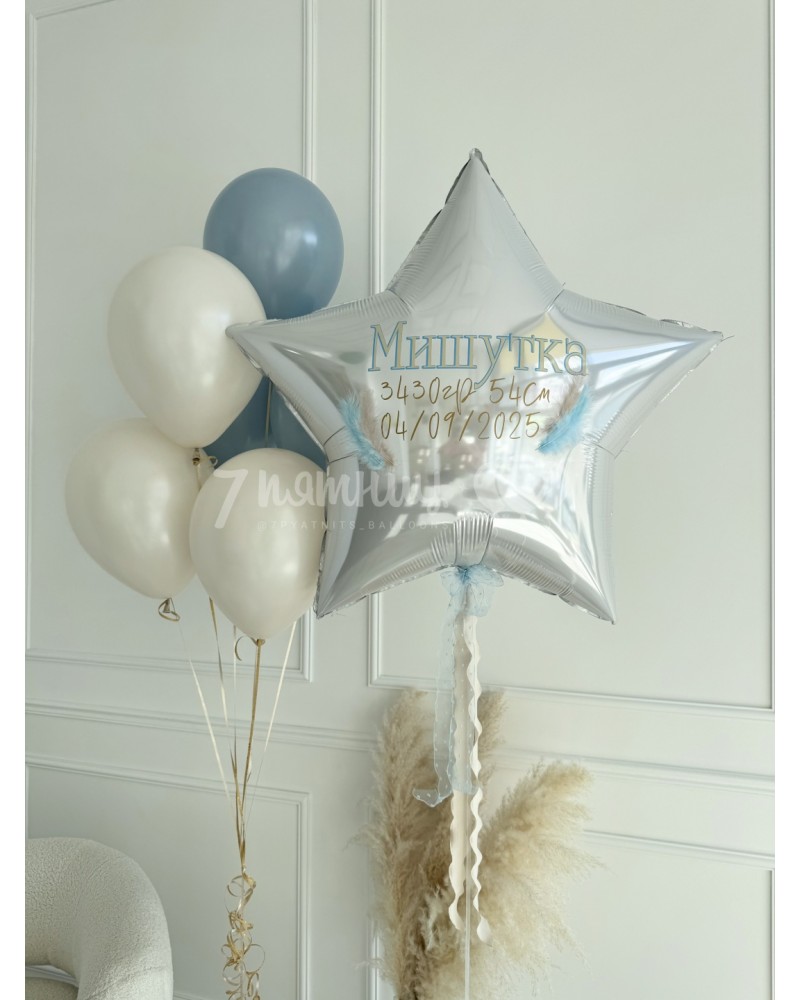 Воздушные шары на выписку для мальчика Добро пожаловать домой