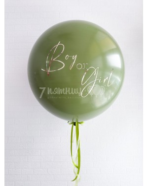 Большой шар для Гендерпати