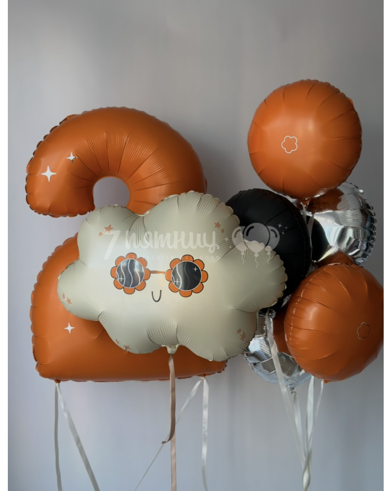 Воздушные шары для мальчика Стильное облако