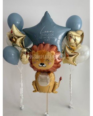 Большой набор шаров на выписку мальчика со львенком