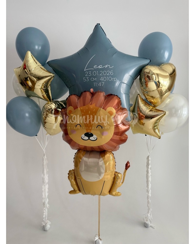 Большой набор шаров на выписку мальчика со львенком