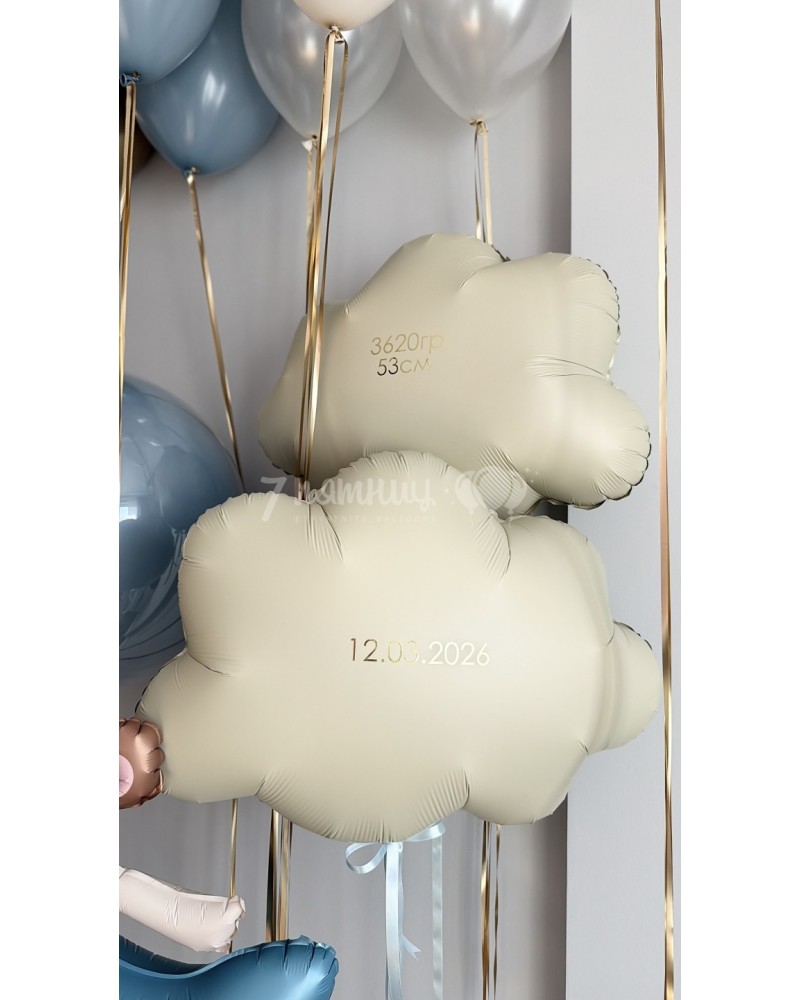 Шары на выписку мальчика с медвежонком в самолете - большой набор с облачками